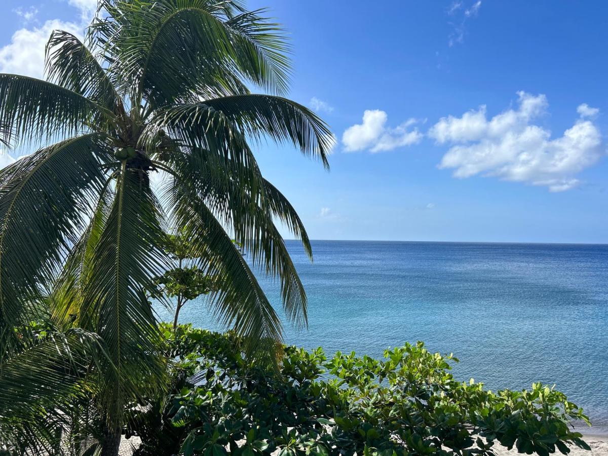 La Plage Martinique Schoelcher Buitenkant foto